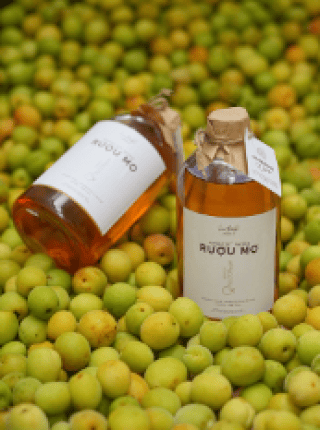 Rượu mơ hạ thổ