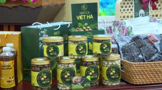 Hạt Macca Việt Hà 300g