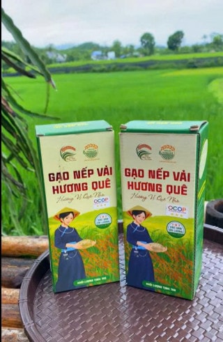 Gạo nếp vải hương quê