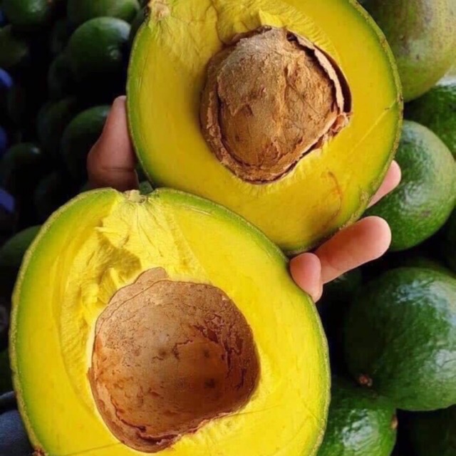 Bơ Booth Đắk Lắk (set 4KG)